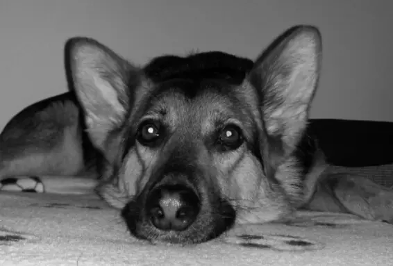 Condolence image of Mariio