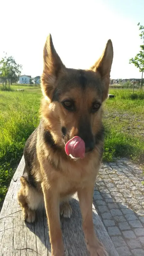 Image from Andra