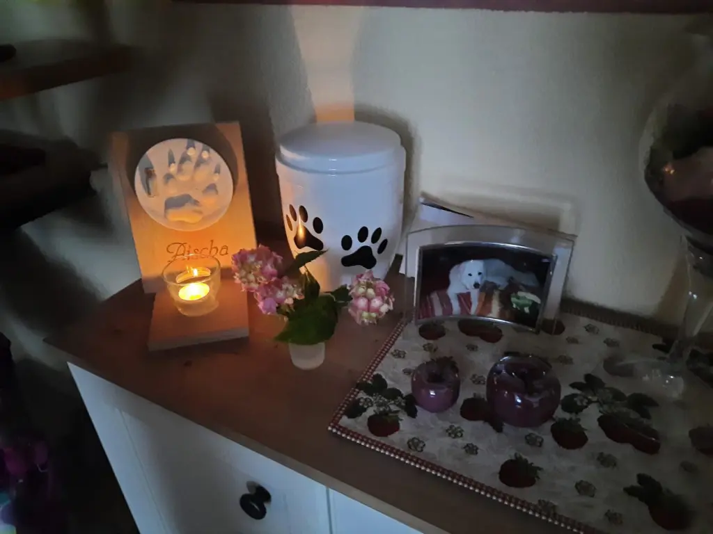 Image from Aischa