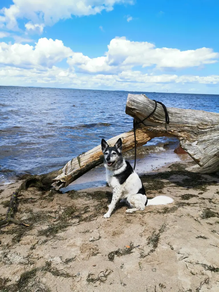 Image from Sandy