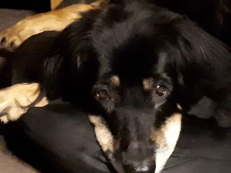 Condolence image of Sabine