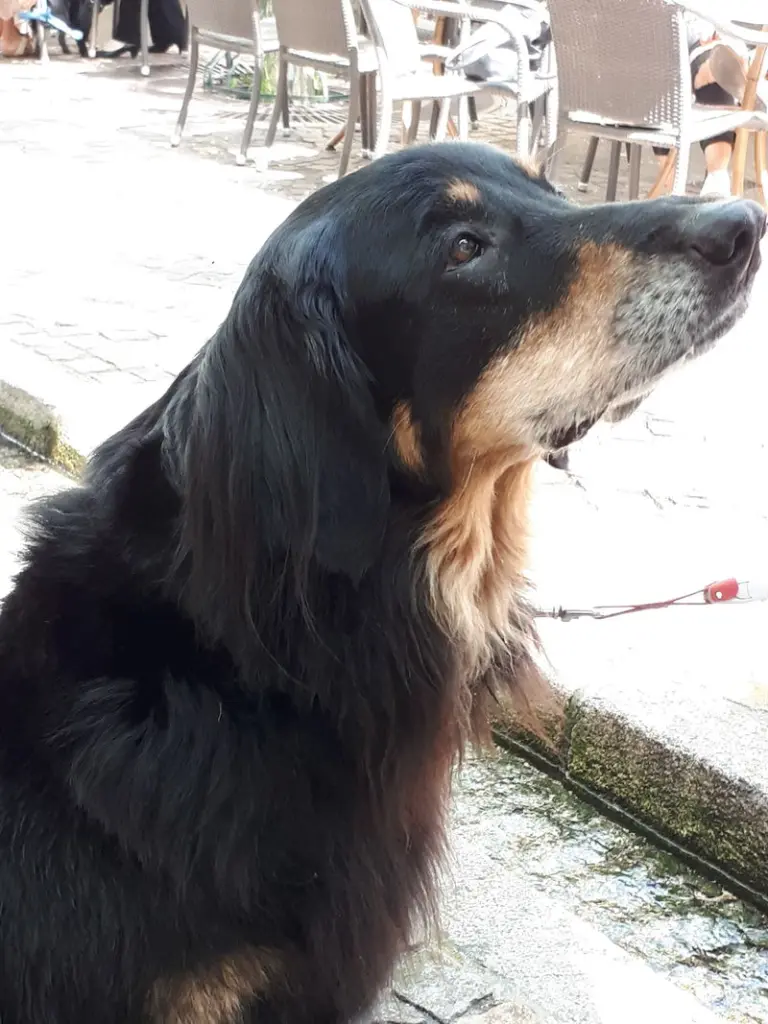 Condolence image of Sabine