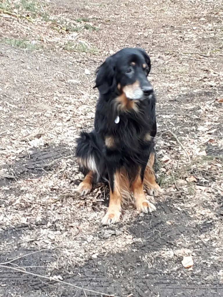 Condolence image of Sabine