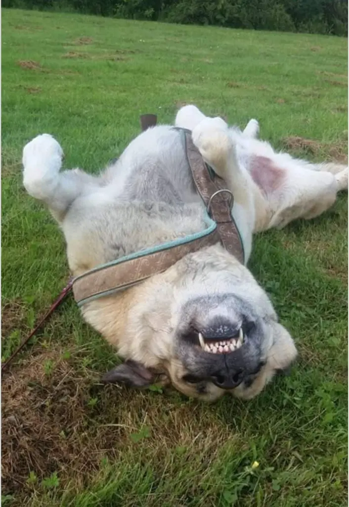 Andachtsbild von Peggy