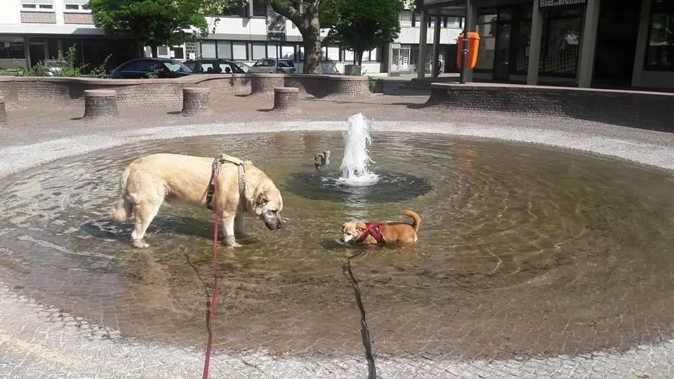 Andachtsbild von Peggy