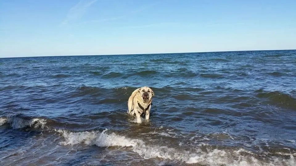 Andachtsbild von Peggy