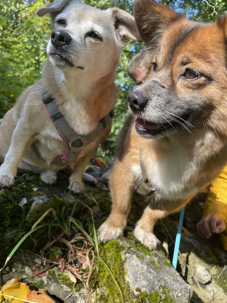 Andachtsbild von Peggy