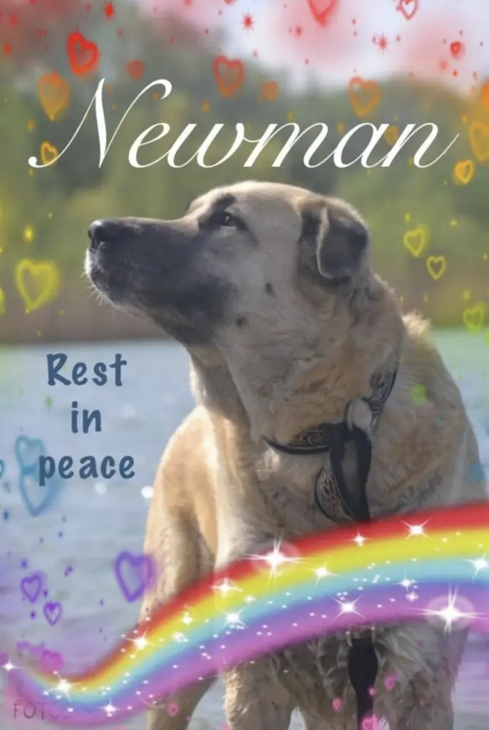 Andachtsbild von Deine Peggy