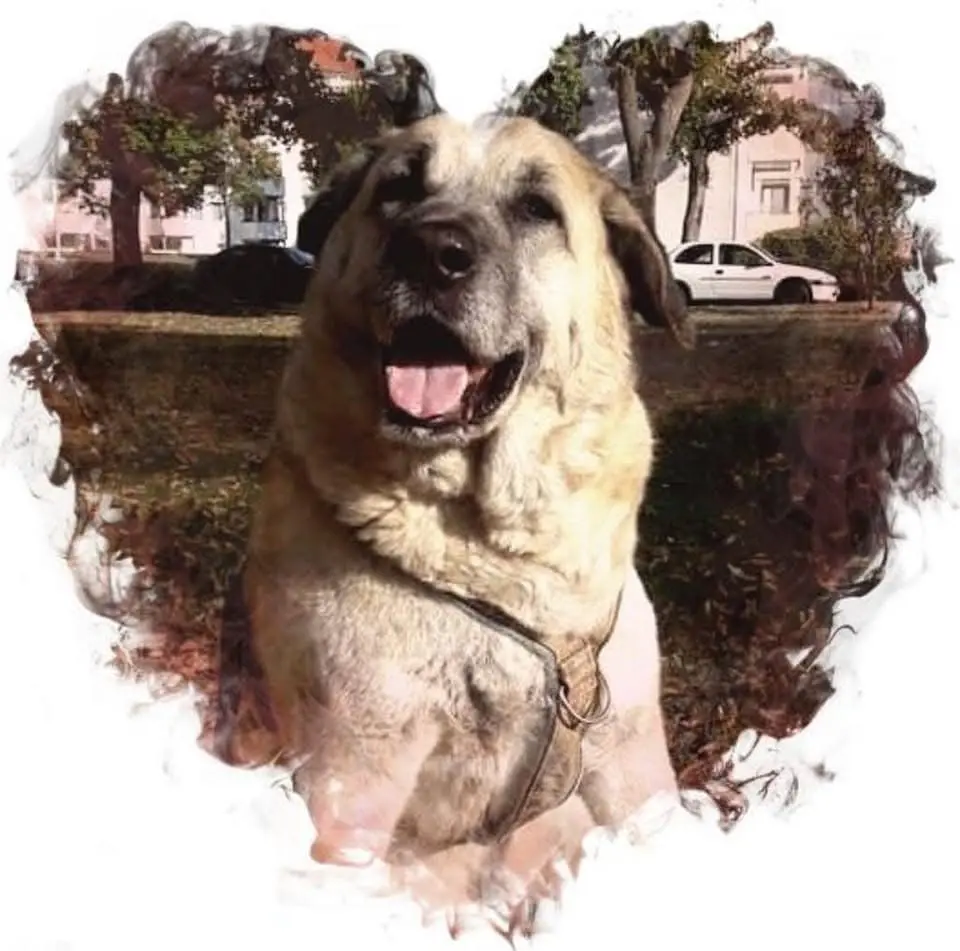 Condolence image of Peggy Newman