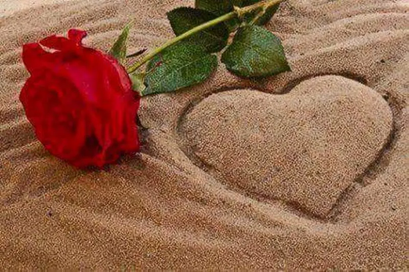 Condolence image of Sandra