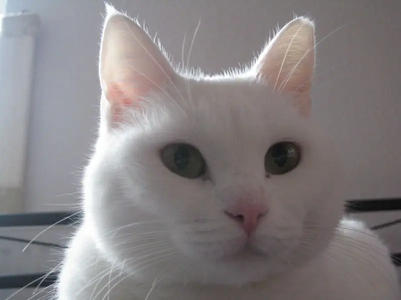 Condolence image of Heidemarie