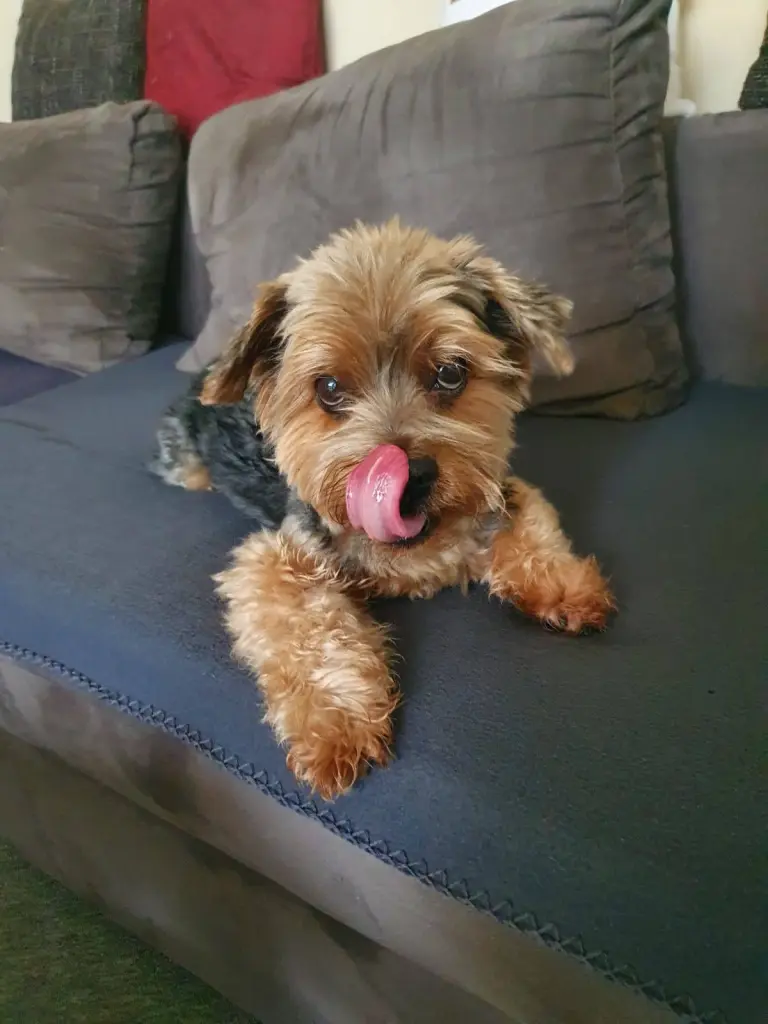 Image from Lucky
