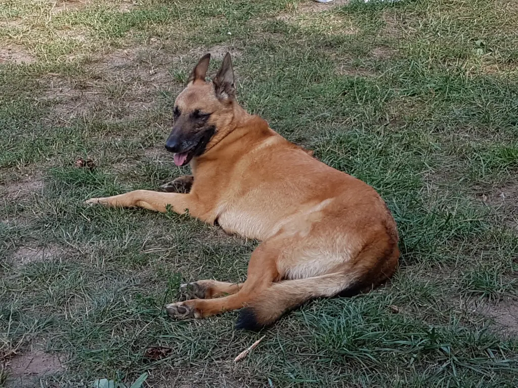 Condolence image of Markus