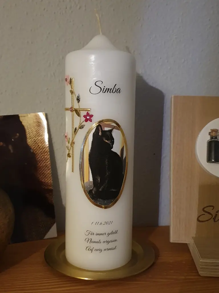 Image from Simba