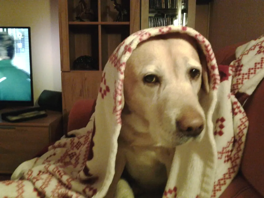 Condolence image of Unbekannt