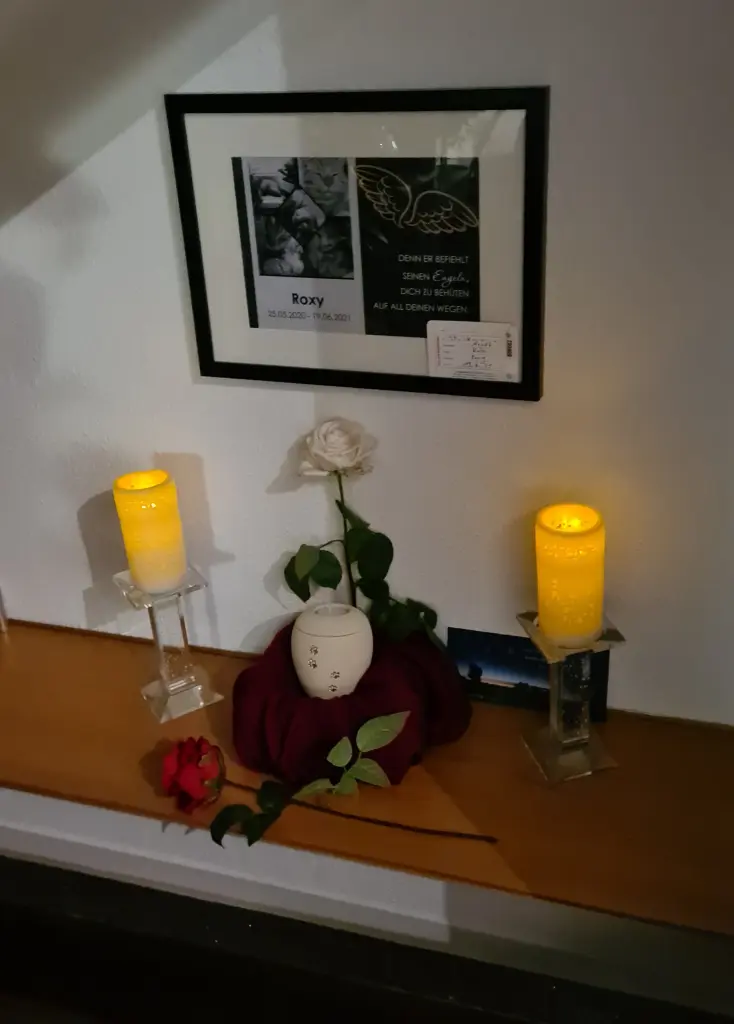 Image from Roxy
