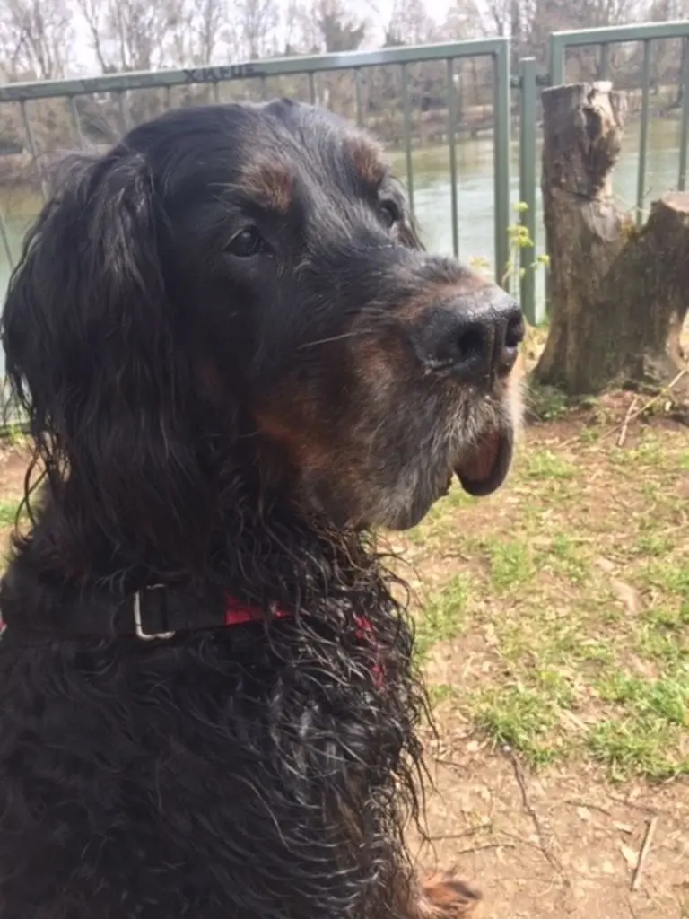 Condolence image of Michaela mit Max