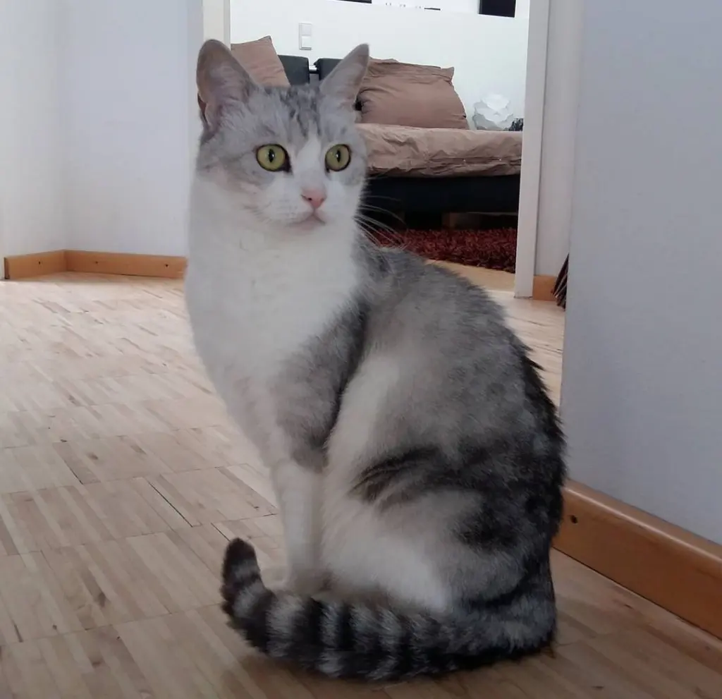 Bild von Jamilla