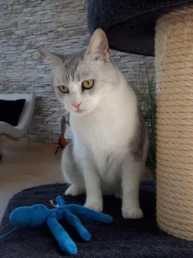 Bild von Jamilla