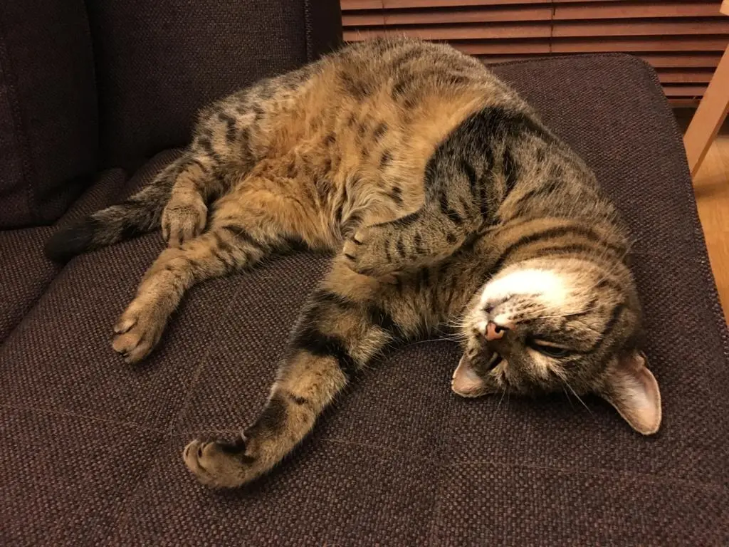 Image from Cleo