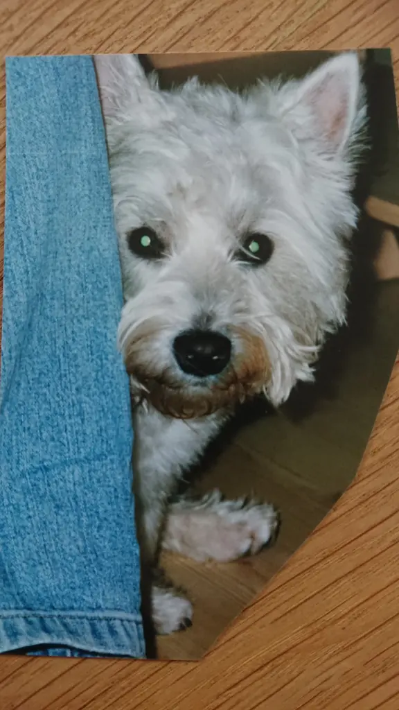 Condolence image of Astrid