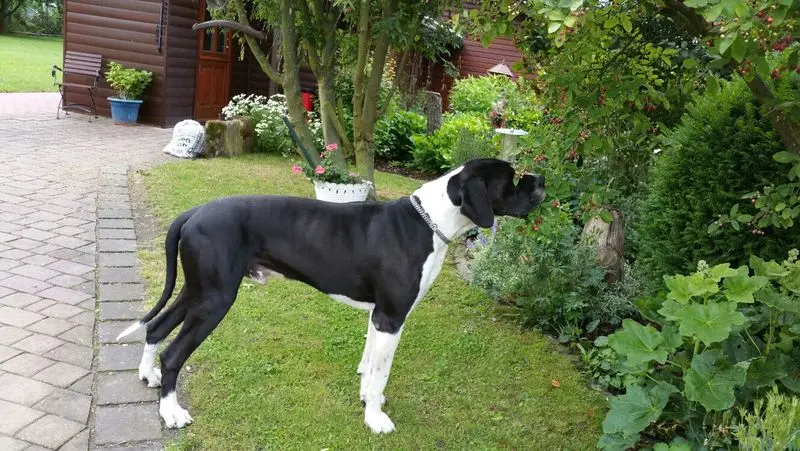 Condolence image of Katja