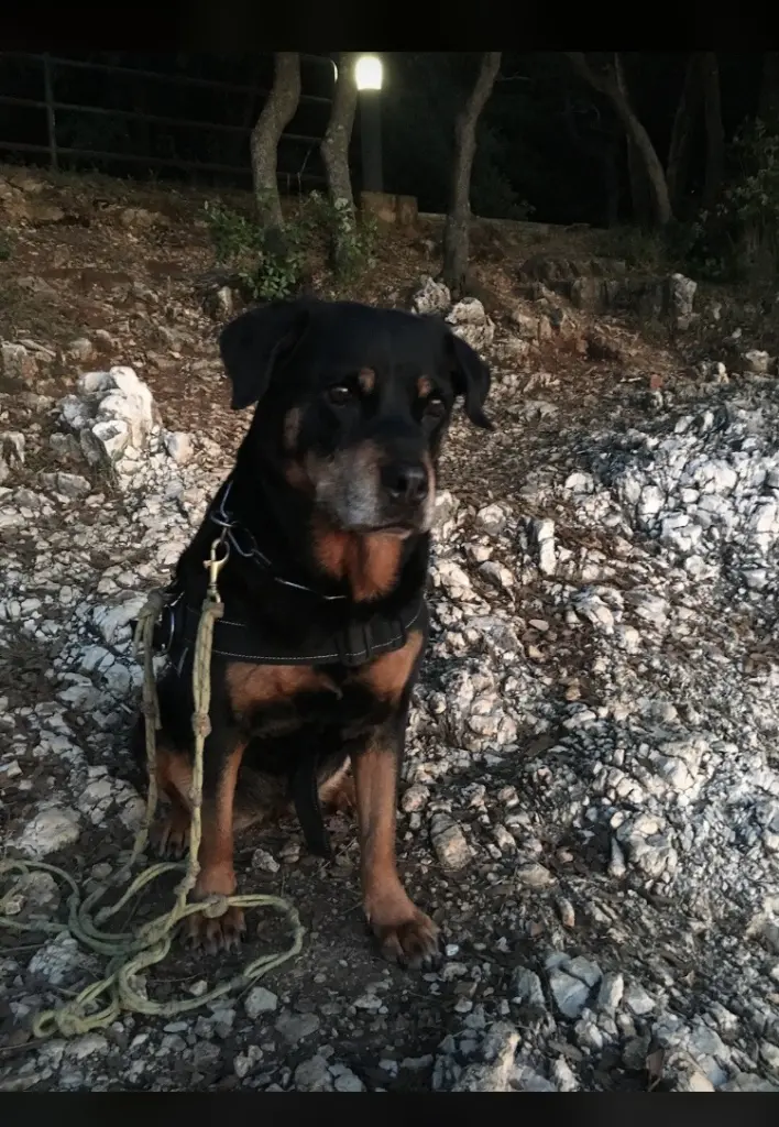 Image from Finja