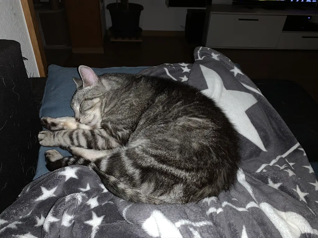 Image from Carouso