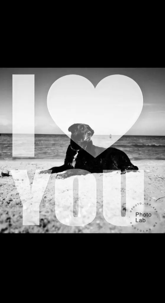 Image from Heidy
