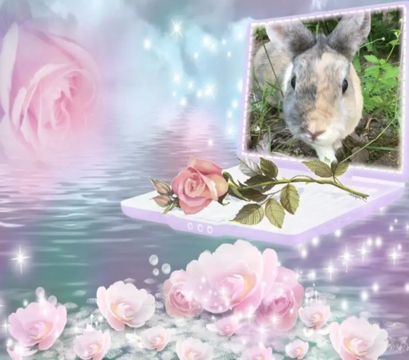 Condolence image of ❤️❤️❤️❤️❤️❤️❤️❤️❤️❤️❤️❤️❤️❤️