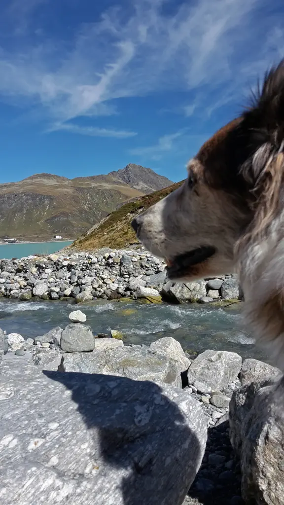 Image from Trixi