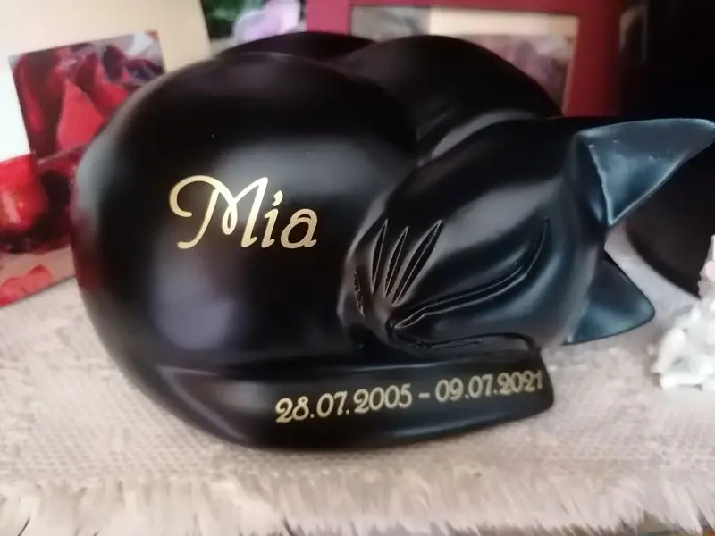 Condolence image of Für Mia