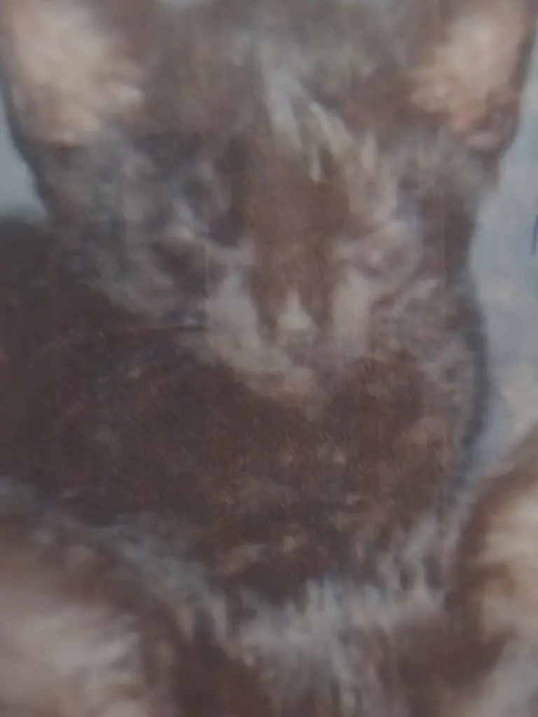 Condolence image of Andrea