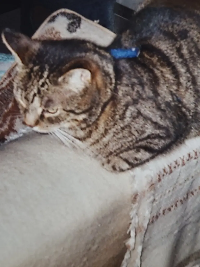 Condolence image of Andrea