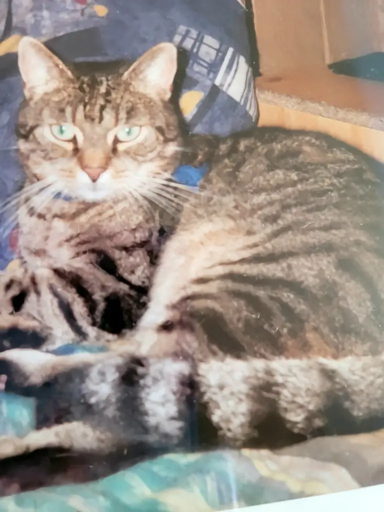 Condolence image of Andrea
