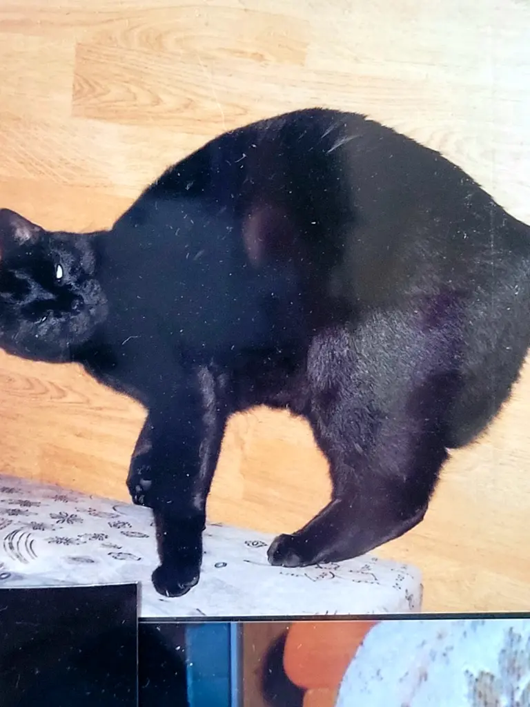 Condolence image of Andrea
