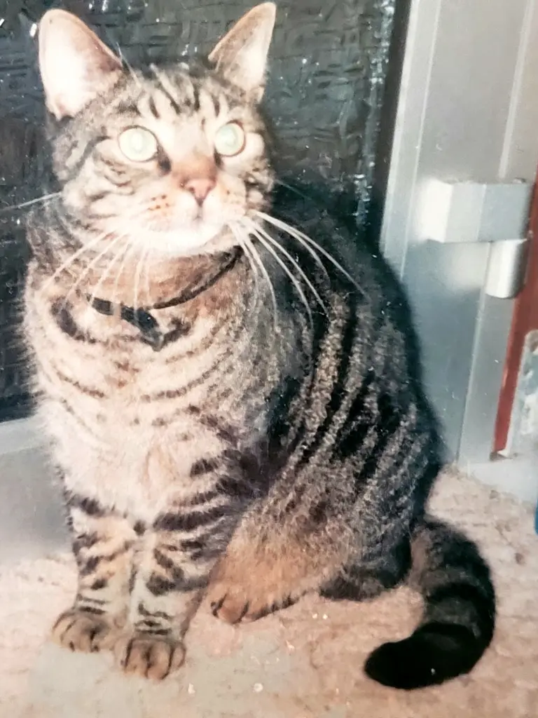 Condolence image of Andrea