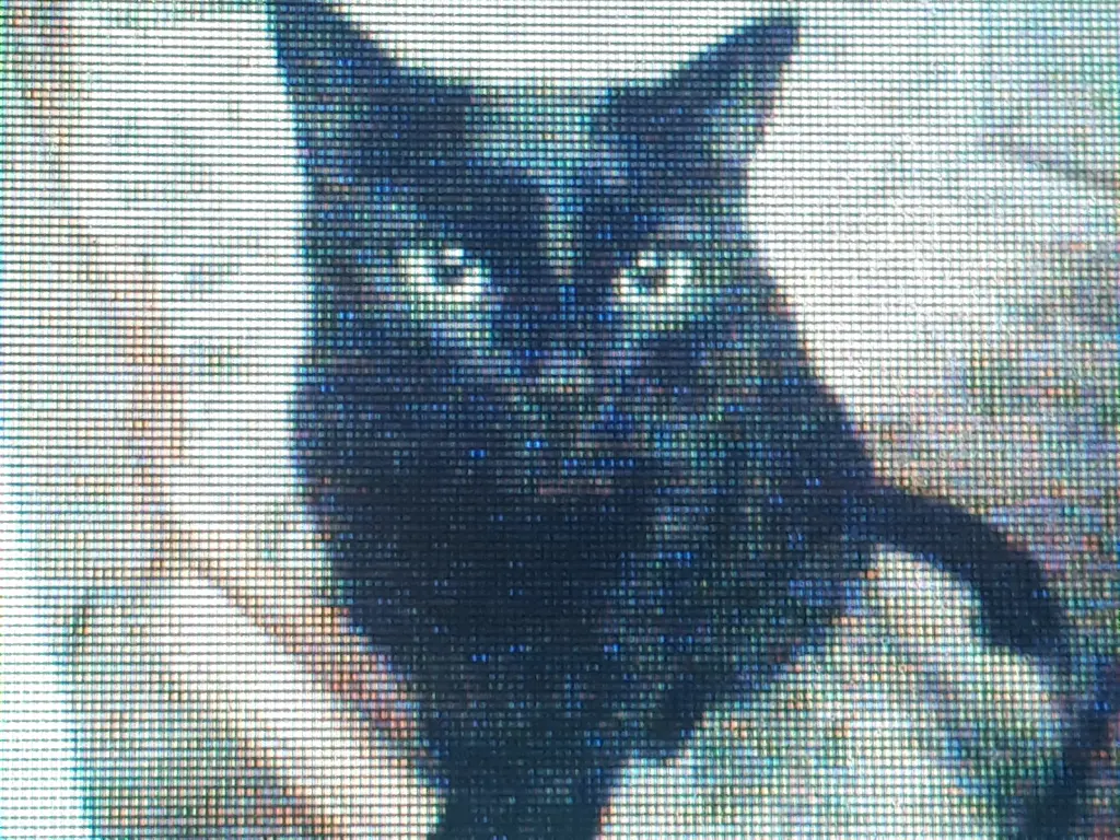 Condolence image of Andrea