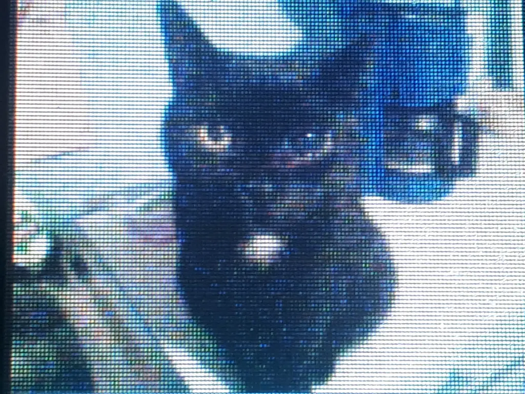 Condolence image of Andrea