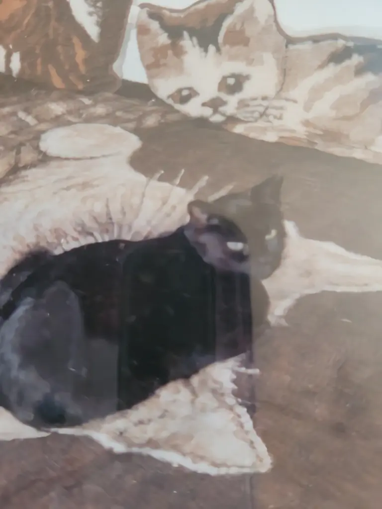 Condolence image of Andrea