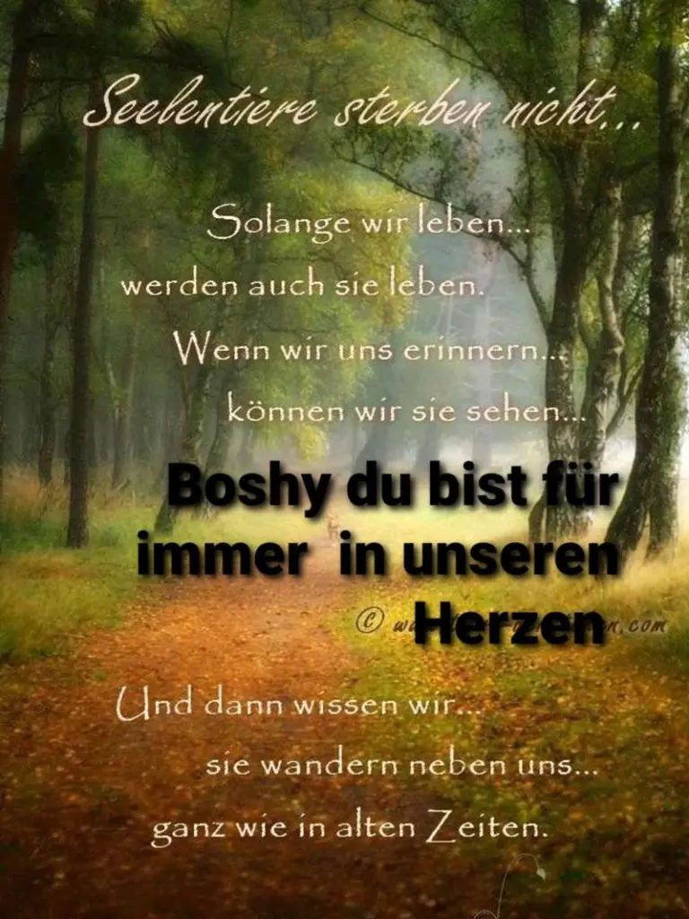 Condolence image of Unbekannt