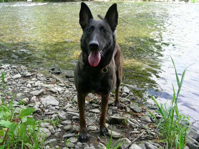 Condolence image of Ulla