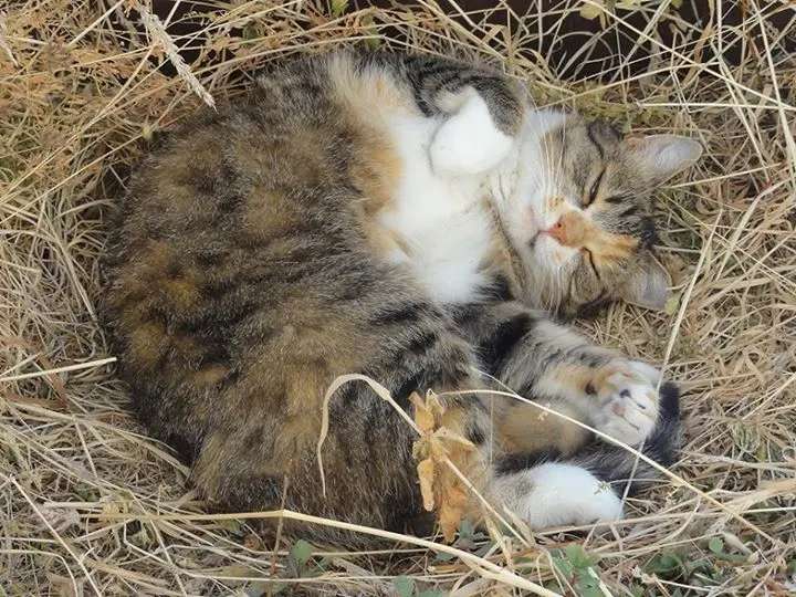 Condolence image of Barbara