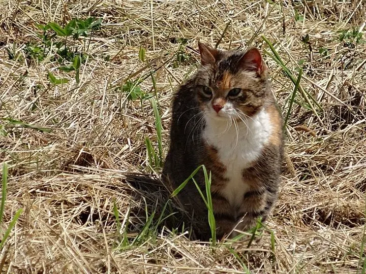 Condolence image of Barbara