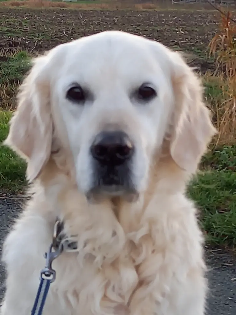 Image from Sunshine