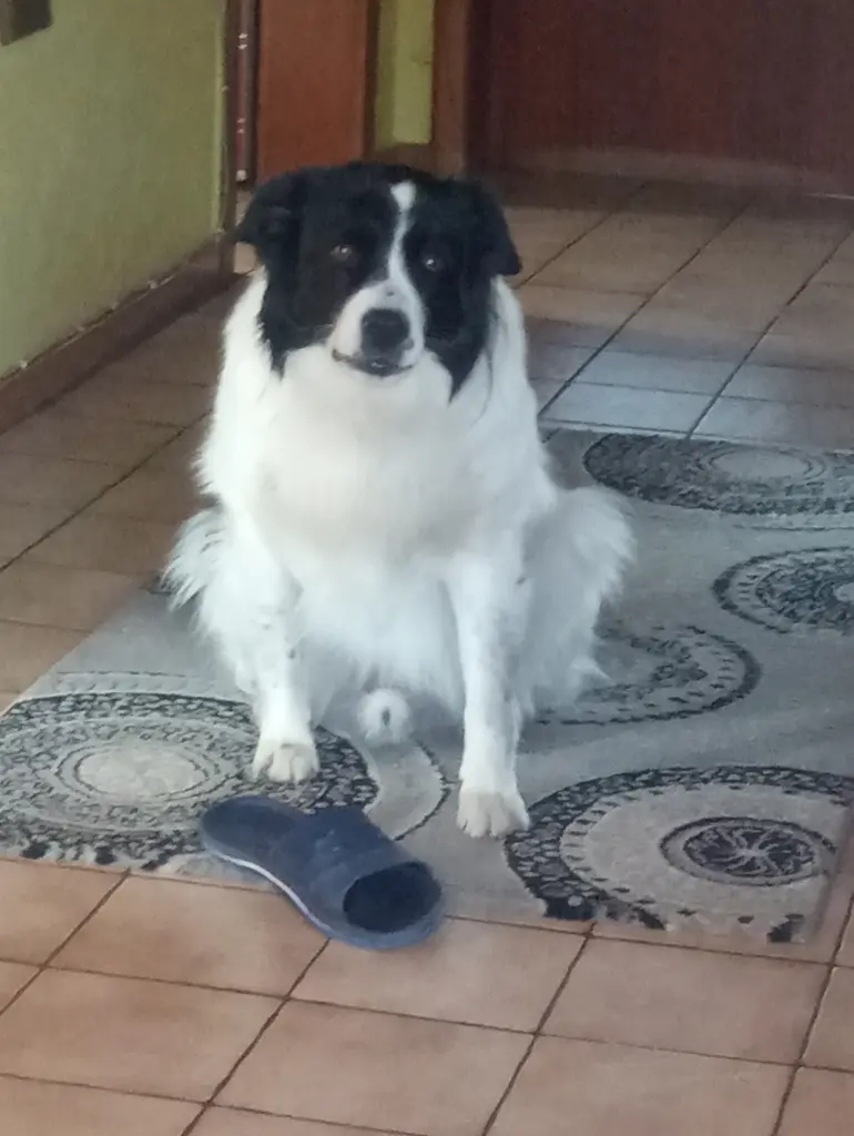 Image from Rusty
