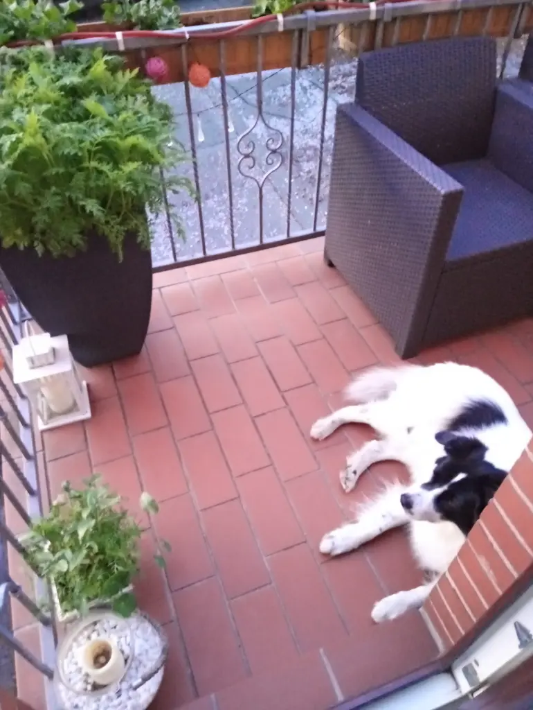 Image from Rusty