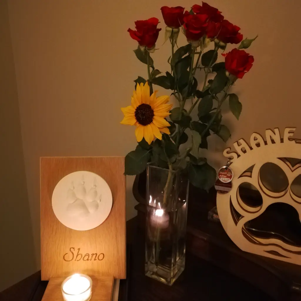 Condolence image of Tamara