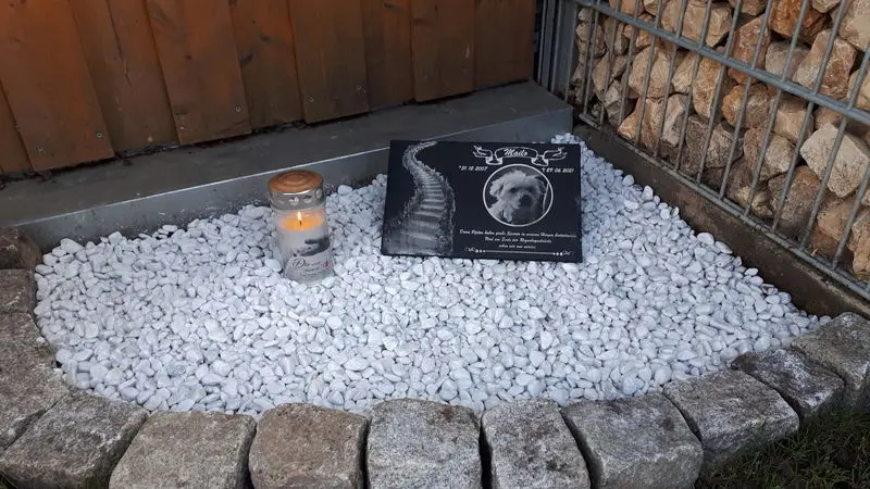 Condolence image of Stefan