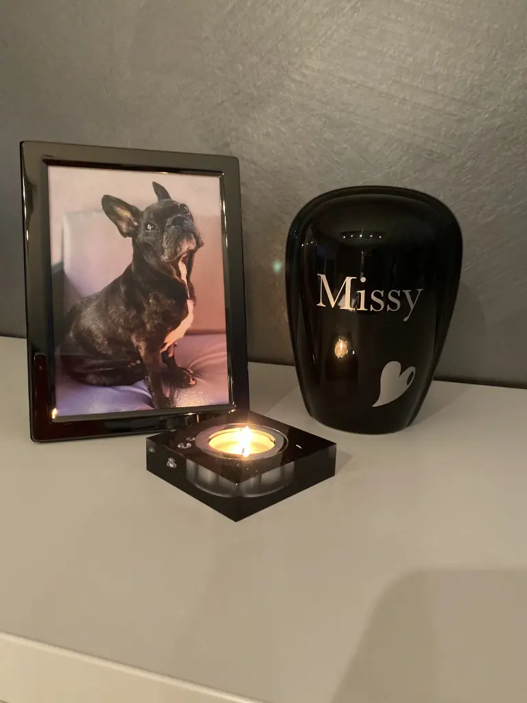 Image from Missy